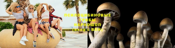 скорость Богородицк