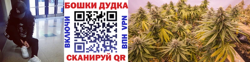 MEGA зеркало  Красноярск  Бошки марихуана гибрид 